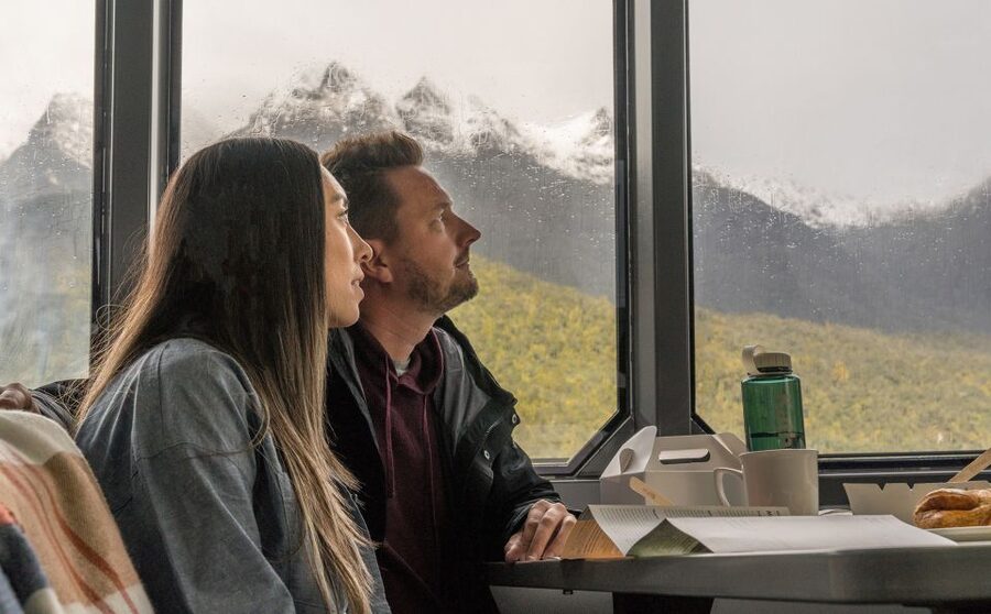From Te Anau: Doubtful Sound Coach & Cruise - Wildlife depends on patience and luck