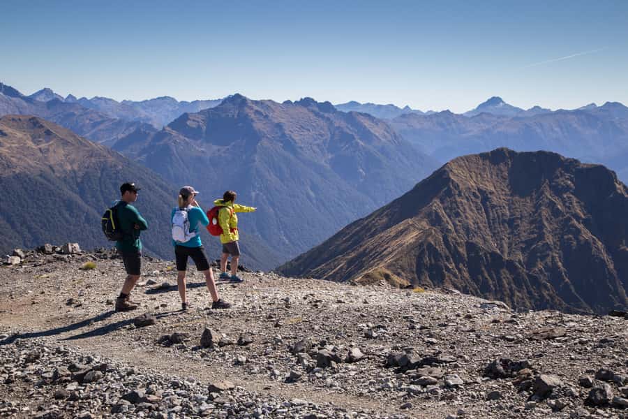 From Te Anau: Full Day Kepler Track Guided Heli-Hike - Native ferns on the way to Brod Bay