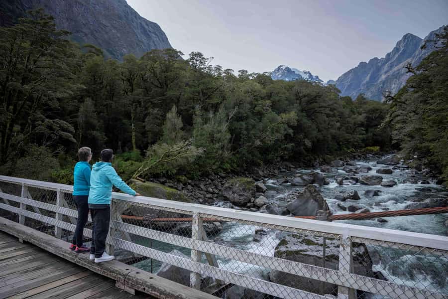 From Te Anau: Milford Sound Coach, Cruise, and Walks - Key things to know before you book