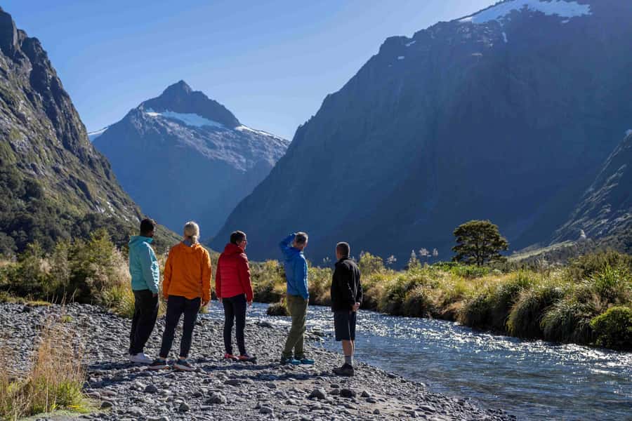 From Te Anau: Milford Sound Coach, Cruise, and Walks - Why Te Anau is the smarter starting point