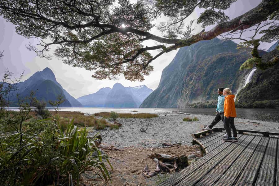From Te Anau: Milford Sound Coach, Cruise, and Walks - The two-hour cruise from mountains to the Tasman Sea