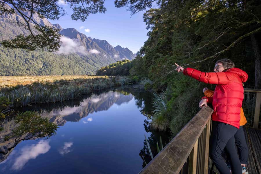 From Te Anau: Milford Sound Coach, Cruise, and Walks - Lunch, timing, and the value of $164