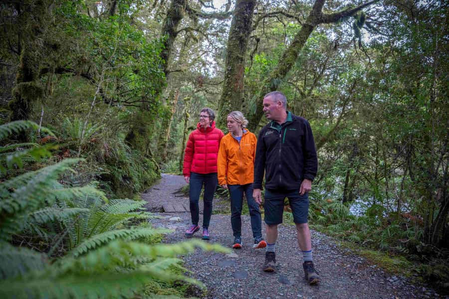 From Te Anau: Milford Sound Coach, Cruise, and Walks - Who should book this Milford Sound day trip