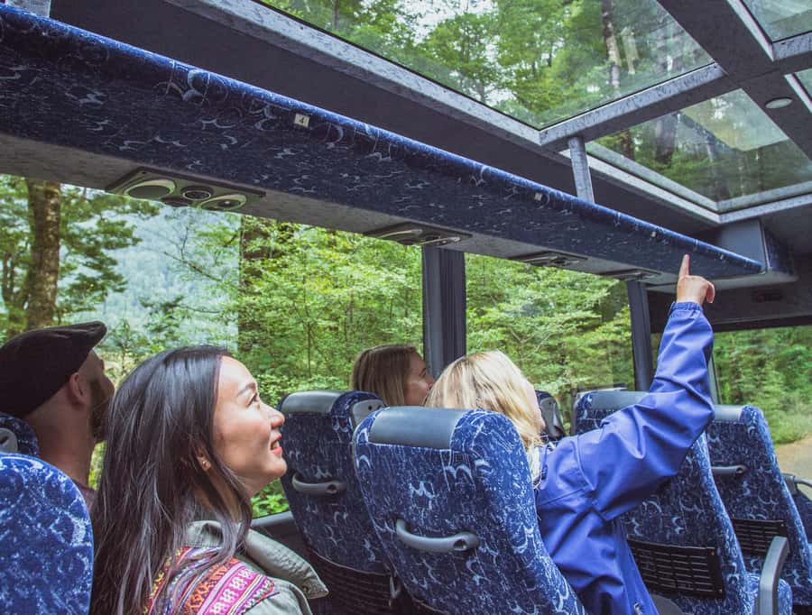 From Te Anau: Milford Sound Coach Tour and Cruise - Leaving Te Anau for Fiordland National Park