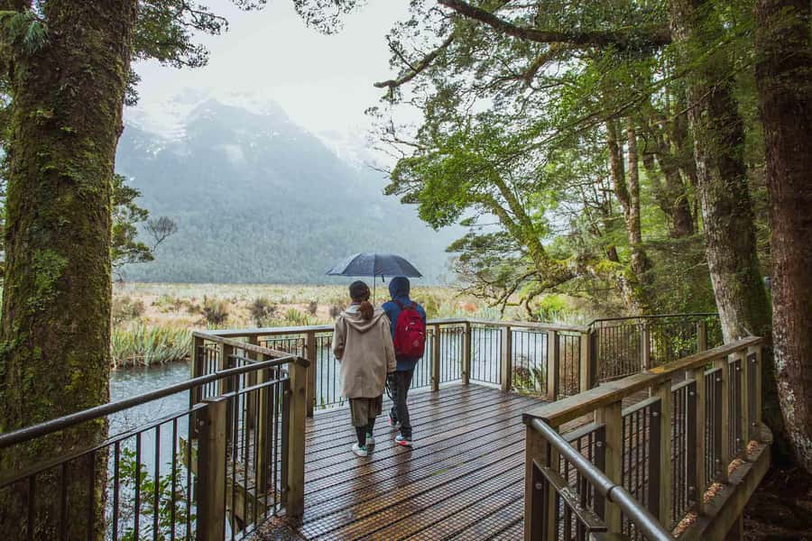 From Te Anau: Milford Sound Coach Tour and Cruise - The Milford Sound approach, from tunnel to water