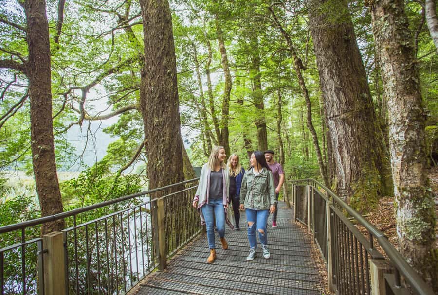 From Te Anau: Milford Sound Coach Tour and Cruise - Should you book the Te Anau coach and cruise?