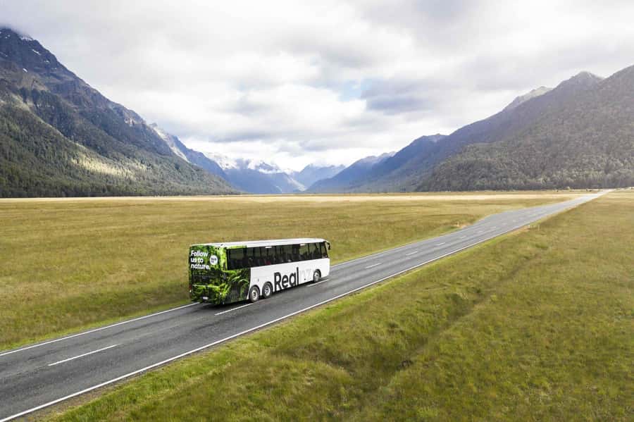 From Te Anau: Milford Sound Cruise and Coach Day Trip - The glass-roof coach on the Milford Road