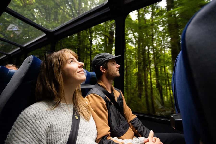 From Te Anau: Milford Sound Cruise and Coach Day Trip - Who should book this Milford Sound day trip?