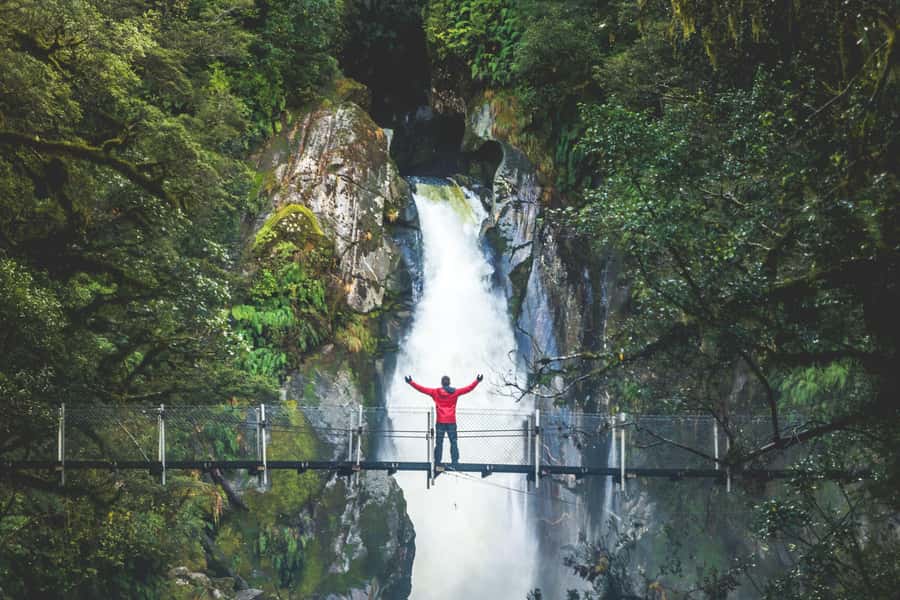 From Te Anau: Milford Sound Cruise & Track Walk by Coach - Seeing Milford Sound from the cruise deck