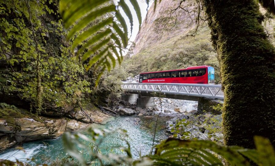 From Te Anau: Milford Sound Premium Bus Tour and Cruise - Wildlife and waterfalls at close range