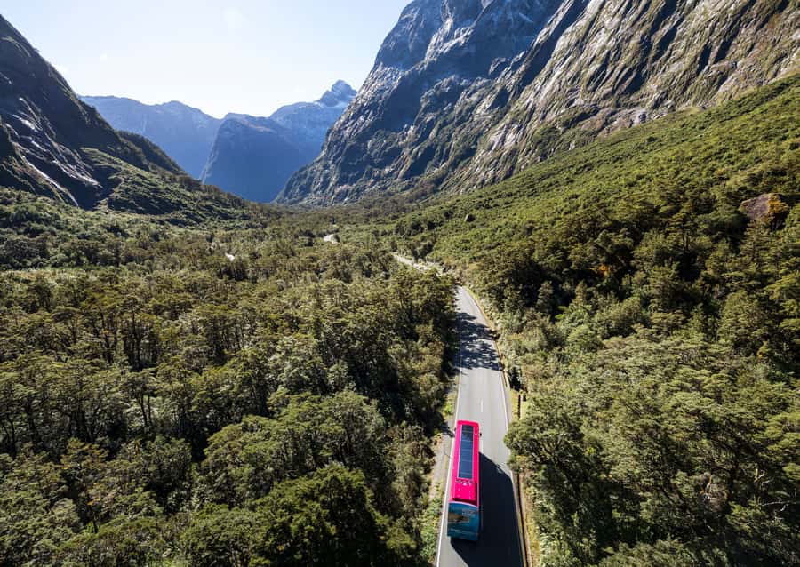 From Te Anau: Milford Sound Premium Bus Tour and Cruise - Lunch, drinks, and what to bring