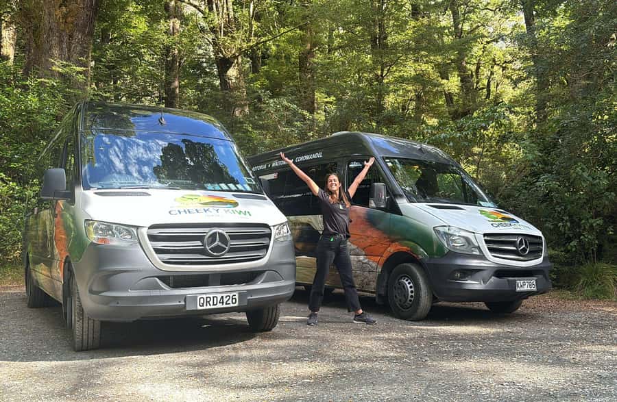 From Te Anau: Milford Sound Small-Group Tour Including Lunch - Lunch, snacks, and the small-group feel