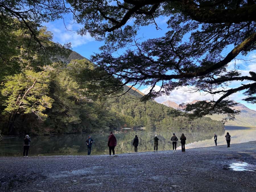 From Te Anau: Milford Sound Small-Group Tour Including Lunch - Homer Tunnel and the approach to Milford Sound