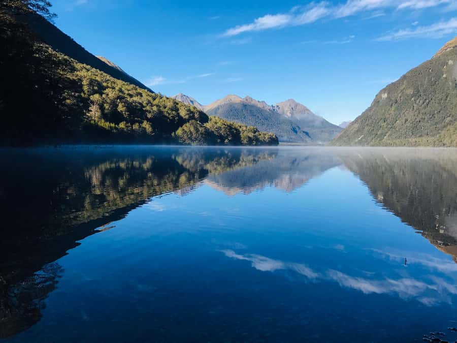 From Te Anau: Milford Sound Small-Group Tour Including Lunch - The 105-minute Milford Sound cruise