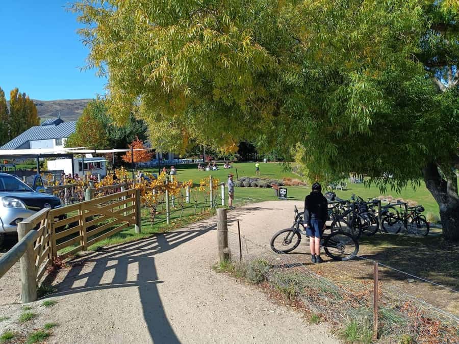 From Wanaka - Bike the Dunstan Trail with shuttle return - Why the Lake Dunstan Trail is worth your day