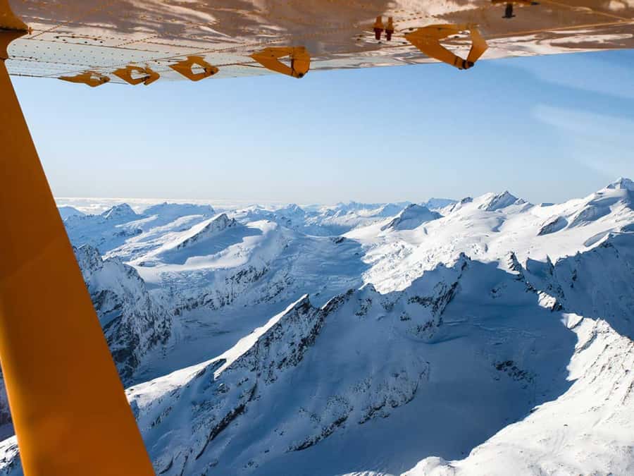 From Wanaka: Milford Sound Flight with Landing & Glaciers - Fiordland rainforest and the return route