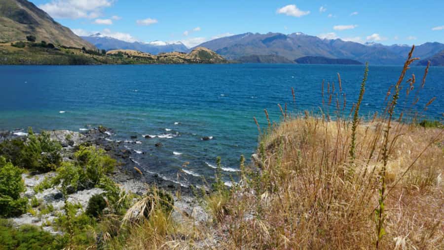 From Wanaka: Ruby Island 1-Hour Cruise and Photo Walk - The 20-minute walk on Ruby Island