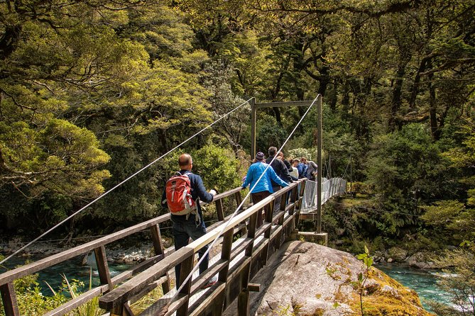 Full-Day Milford Sound Tour with Cruise and Walks from Te Anau - The Homer Tunnel and Fiordland’s changing scenery