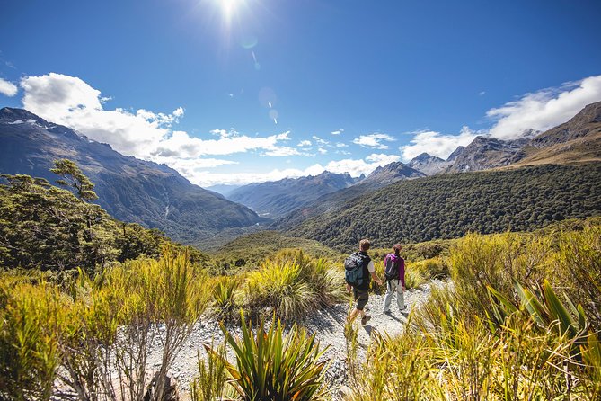 Full-Day Milford Sound Tour with Cruise and Walks from Te Anau - Milford Sound by small sightseeing boat