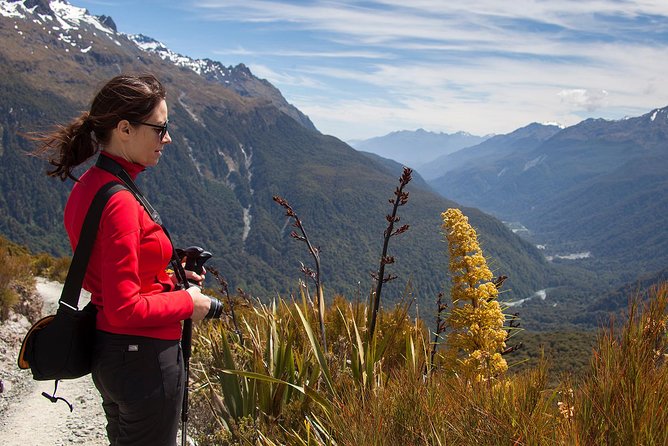 Full-Day Routeburn Track Key Summit Guided Walk from Te Anau - Small-group guiding and personal attention