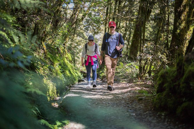 Full-Day Routeburn Track Key Summit Guided Walk from Te Anau - Starting at the Divide Shelter