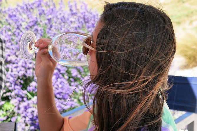 Gibbston Half-Day Private Wine Tour with Hotel Pickup - Four Cellar Doors, With the Route Chosen for Your Group