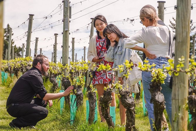 Gibbston Valley Wines - Winery Tour - Why this compact Gibbston Valley visit works