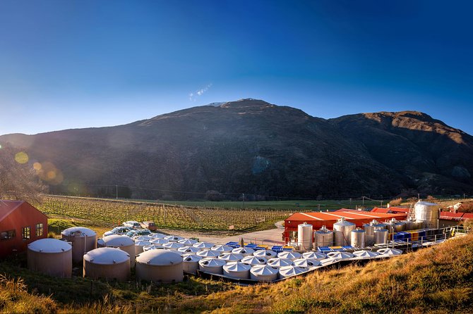 Gibbston Valley Wines - Winery Tour - Timing, age rules, and practical planning