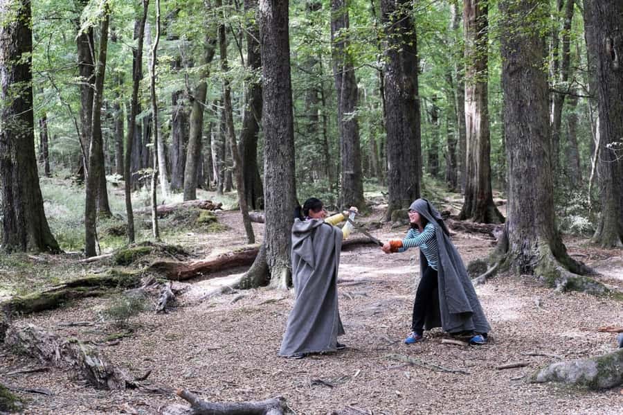 Glenorchy: 4WD Lord Of the Rings Half-Day Tour - Paradise Valley and the Forest of Lothlórien
