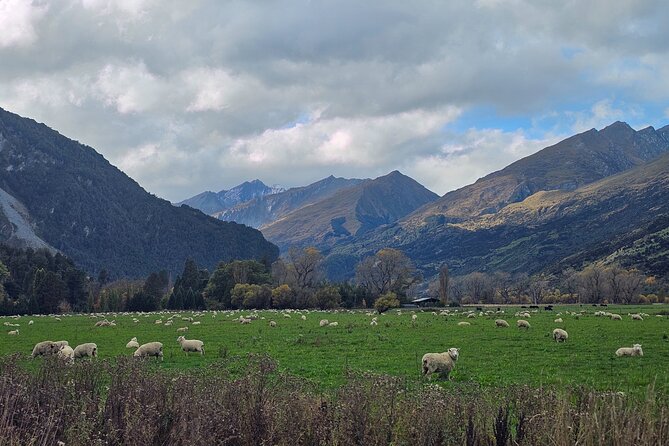 Glenorchy Private Day Trip from Queenstown: TravelnGo - Pig and Pigeon Islands add a smaller detail
