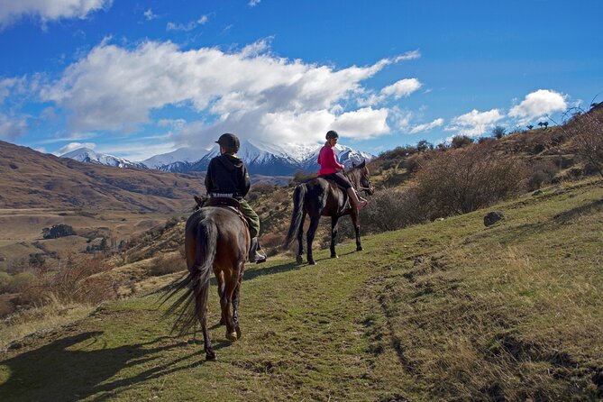 Gold Discovery Trail Horse Trek Cardrona - Most popular! - Meeting your horse at 9:30 am