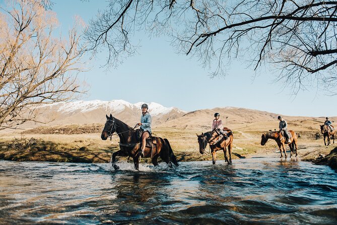 Gold Discovery Trail Horse Trek Cardrona - Most popular! - What the two-hour route is really like