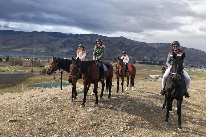 Golden Hills Horse Trek in Central Otago - Key points to know before booking