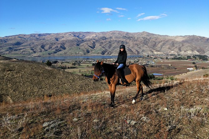 Golden Hills Horse Trek in Central Otago - A relaxed way to see Central Otago on horseback
