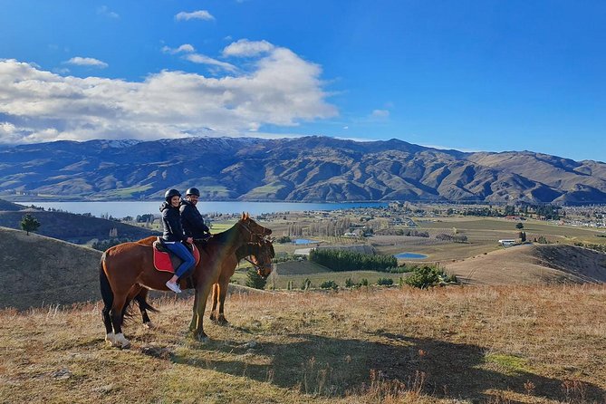 Golden Hills Horse Trek in Central Otago - Meeting the horses before the ride