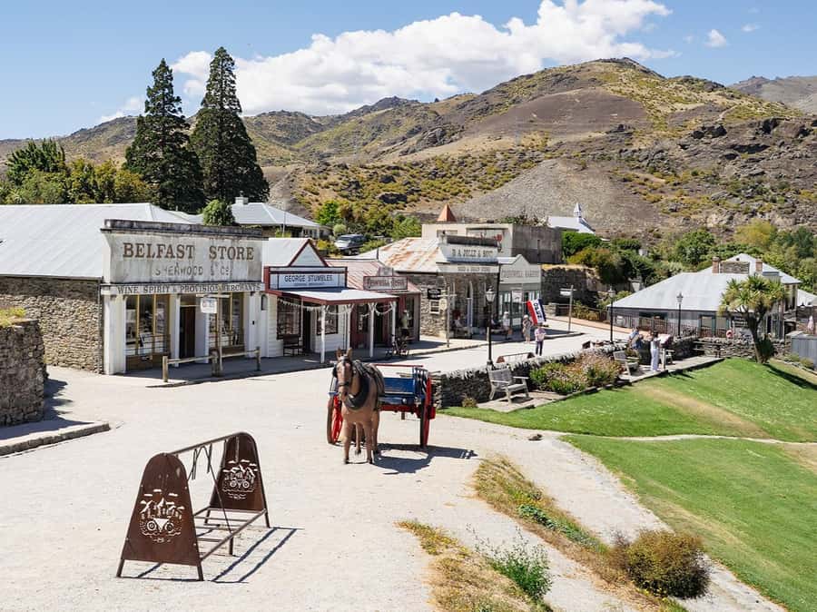 Gourmet Food and Wine Tour with Lunch and Wine Tastings - Who should book this day?