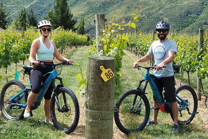 Guided eBike Wine Tour Ride to the Vines - Key points at a glance