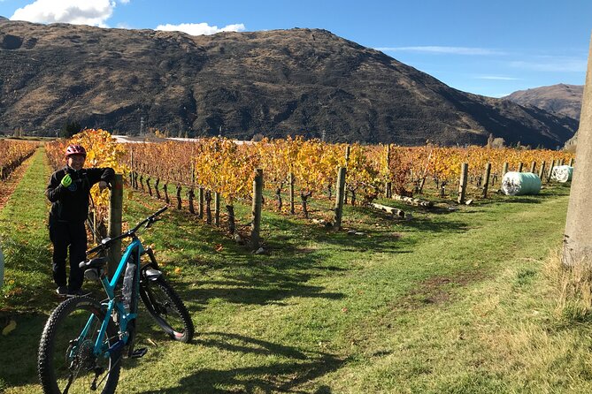 Guided eBike Wine Tour Ride to the Vines - Bringing children and managing alcohol