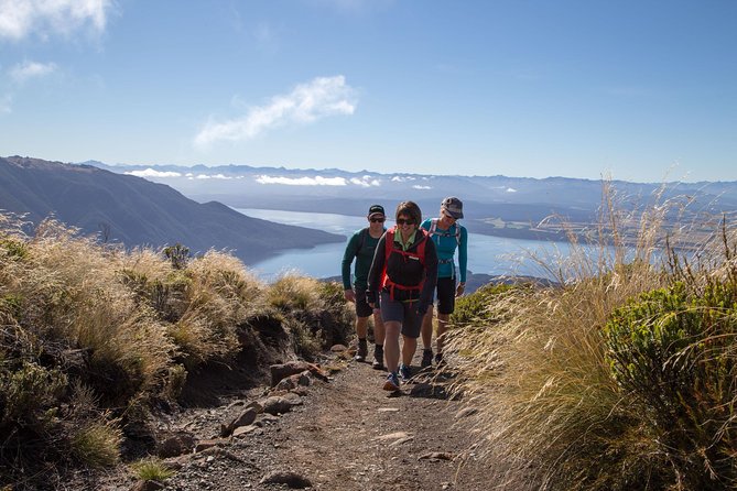 Guided Kepler Track Heli Hike - Luxmore Hut and the alpine tussock