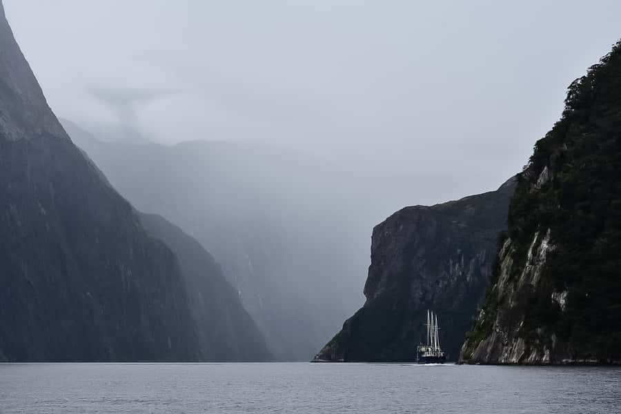 Guided Private Milford Sound Day Tour from Te Anau(Cruise In - Should you book the private Milford Sound day tour?