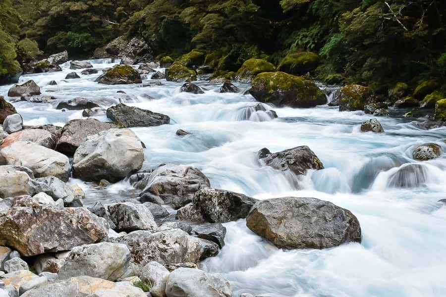 Guided Private Milford Sound Day Tour from Te Anau(Cruise In - Leaving Te Anau with your own guide