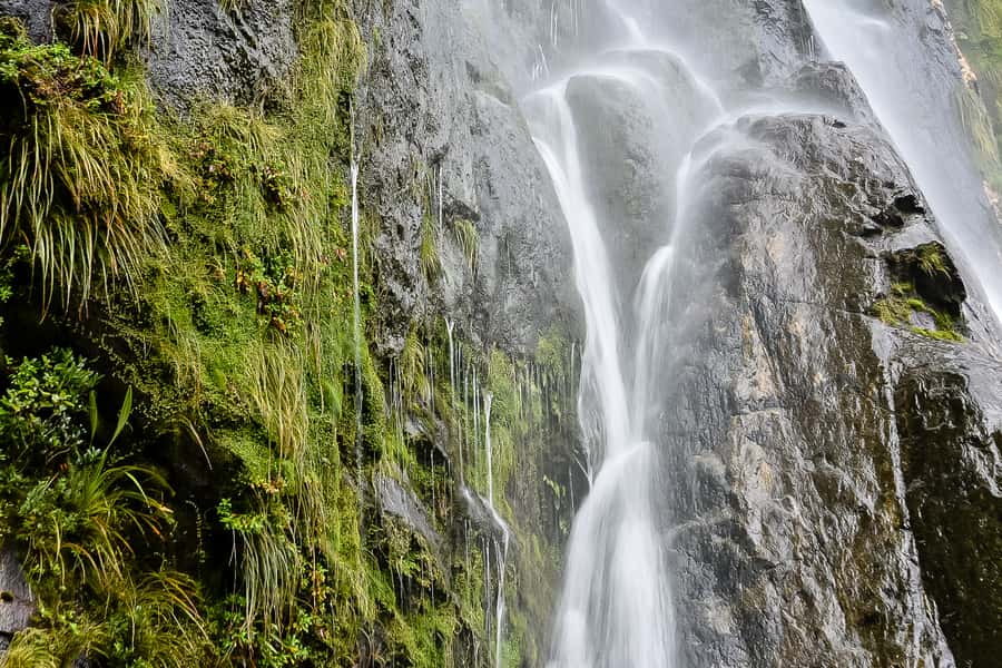 Guided Private Milford Sound Day Tour from Te Anau(Cruise In - Comfort, quiet, and the Carbon Zero promise