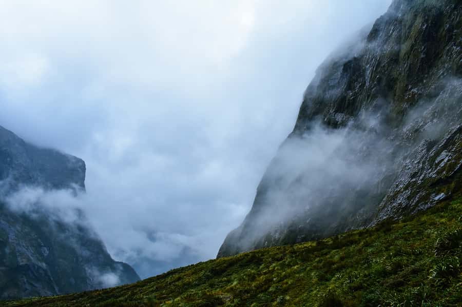 Guided Private Milford Sound Day Tour from Te Anau(Cruise In - The Milford Road, with time to stop