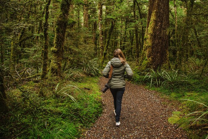 Guided Private Milford Sound Day Tour from Te Anau(Cruise Included) - From Lake Te Anau to the Milford Road