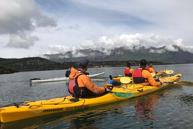 Half-Day Kayak Tour on Lake Wanaka - Who will enjoy this Lake Wanaka outing?