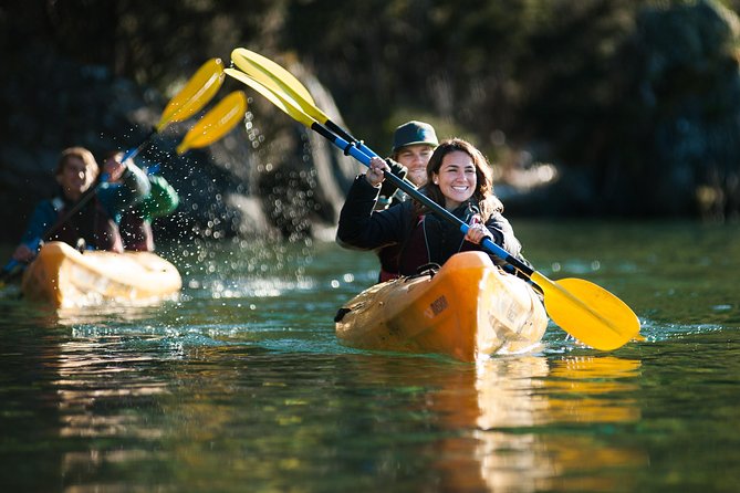 Half-Day Kayak Tour on Lake Wanaka - Starting at Paddle Wānaka on Ardmore Street