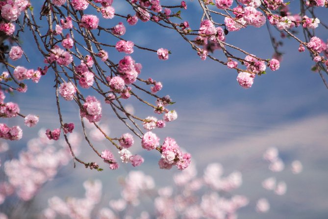Half Day Queenstown & Beyond Private Scenic Photography Tour - Skippers Canyon and Coronet Peak