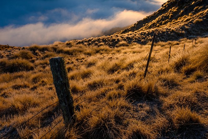 Half-Day Queenstown Photography Tour - Who will get the most from this outing