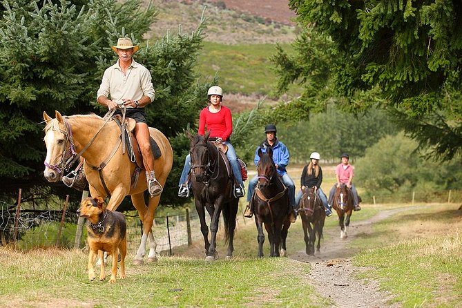 Half Day Walter Peak Horse Trek and Cruise from Queenstown - What the 40-minute horse ride is really like
