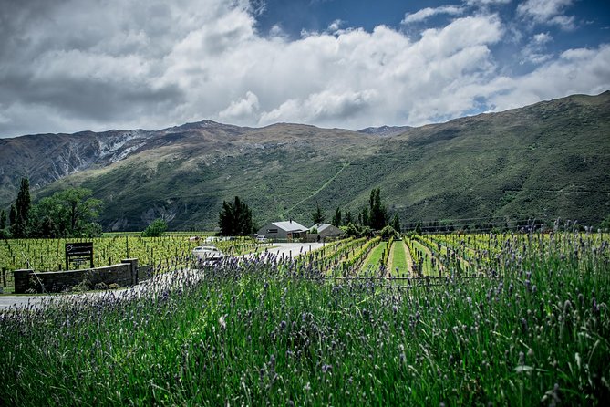 Hop on Hop off Wine Tours Queenstown - How the Queenstown wine bus works